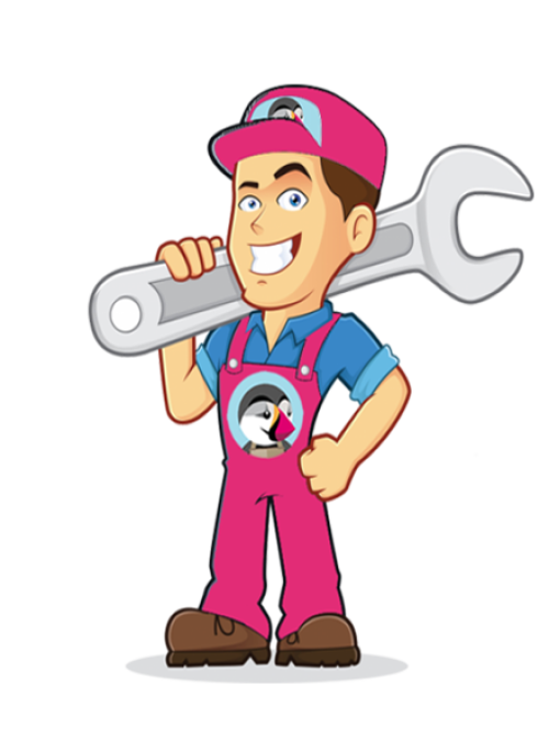 esperto Prestashop portale informativo dove trovare un tecnico Prestashop nella tua città